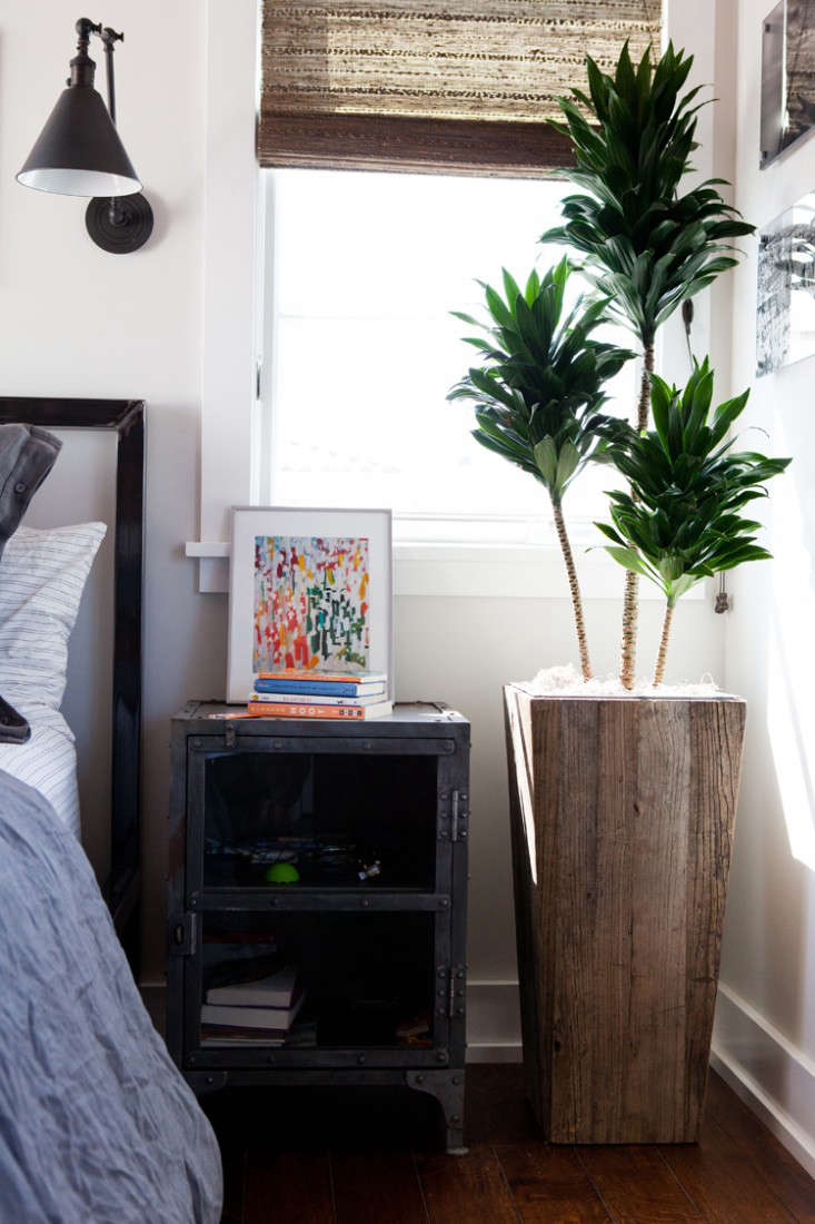 Designer Molly Wood says: “Interior plants add life, form, texture, and personality to a home.